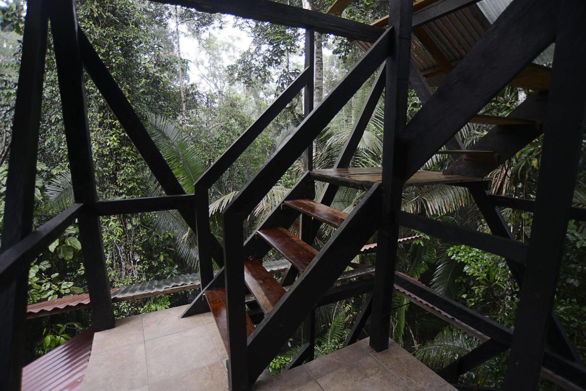 Jamu Lodge Puerto Montufar Luaran gambar